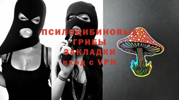 бутират Арсеньев